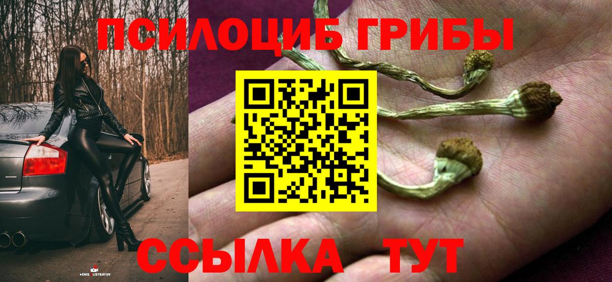 Псилоцибиновые грибы Magic Shrooms  Галлюциногенные грибы Cubensis  Вход с VPN  Лангепас 