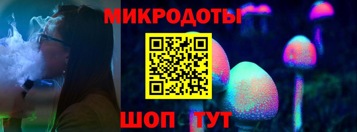Псилоцибиновые грибы Psilocybe Лангепас
